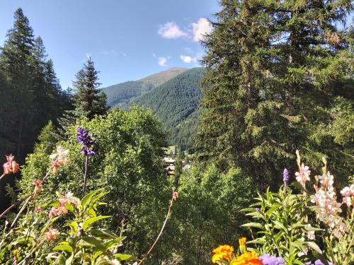 Gîte Ancolie Bleue - main image