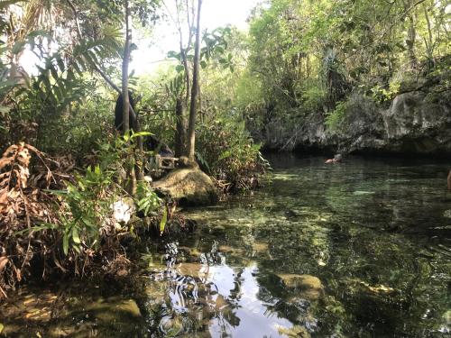 Verdeamar – Tulum, TX