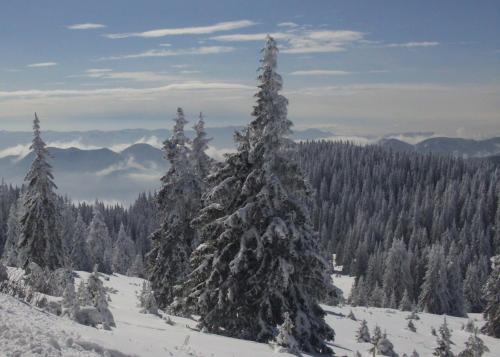 The Castle Complex - Apartment 401, Pamporovo (foto 2)
