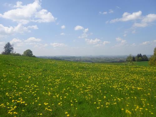Gîte Le Framboisier - chez producteurs de plantes gîte à louer La Groine