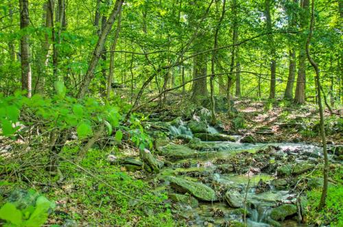 Renovated Studio on 5 Acres - Near Vineyards! in Crozet, USA