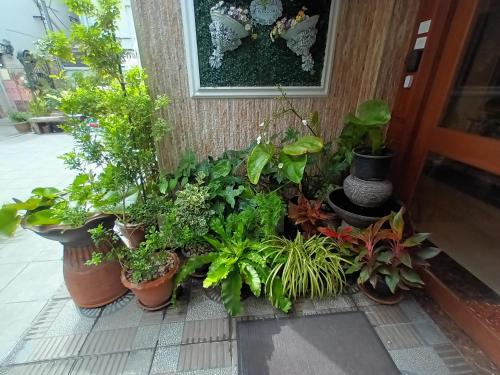 366656161 Cana Boutique Hotel