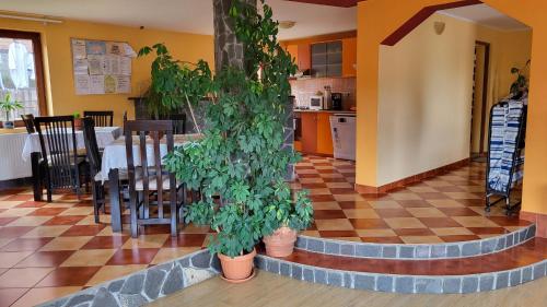 Pension Norbert - image 11