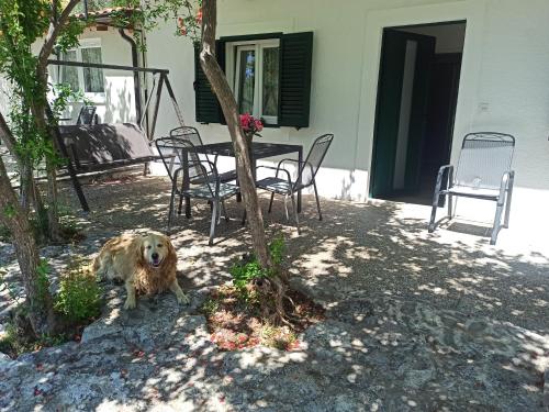  Apartments Dino Formenti in Skradin