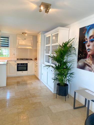 Water Villa Minaro Vinkeveen in Groenlandsekade en Vinkenkade