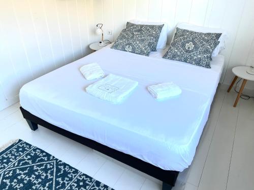 Nice 2 bed-rooms villa at Saint Barth photo 4