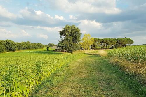 Gîte de campagne L'Estressol