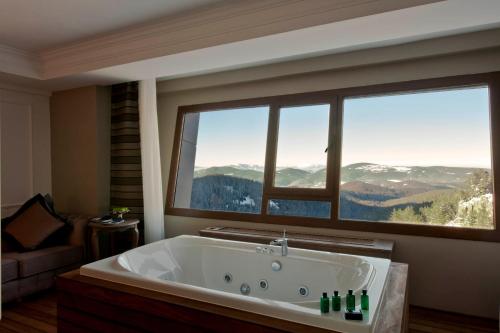 Kaya Palazzo Ski & Mountain Resort - 화장실