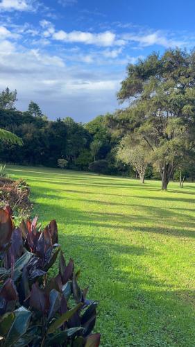 西奥克兰浪漫怀旧度假屋