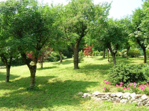 B&B Il Suono del Bosco - image 3