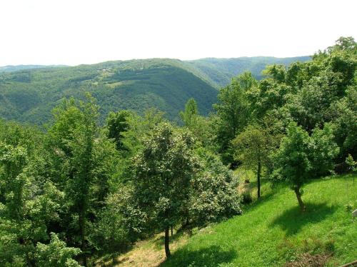 B&B Il Suono del Bosco - image 12