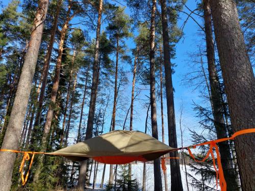 Tree Tent (tentsile)