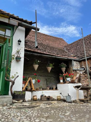 Saschiz 175 GuestHouse in 薩斯基茲