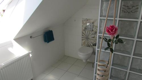 apartmány LUHA apartmány LUHA