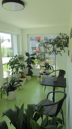 apartmány LUHA apartmány LUHA