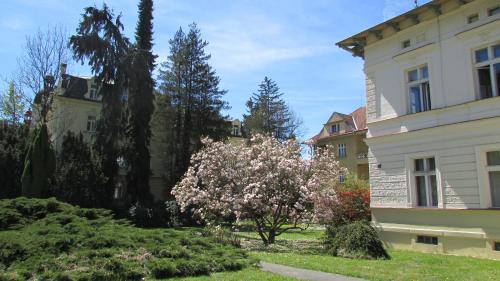 apartmány LUHA apartmány LUHA