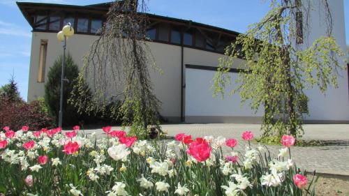 apartmány LUHA apartmány LUHA