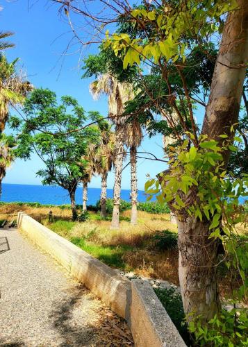Villa Aphrodite by the Sea Villa Aphrodite by the Sea
