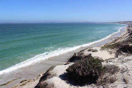 Instal·lacions recreatives, Country at Sea in Long Acres Country Estate