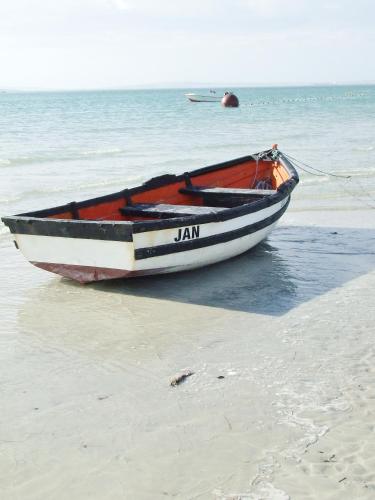 Instal·lacions recreatives, Country at Sea in Long Acres Country Estate