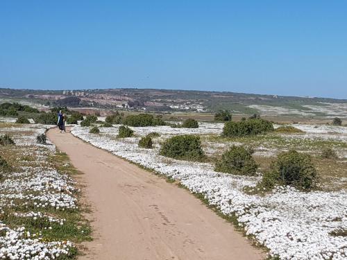 Esports i oci, Country at Sea in Long Acres Country Estate