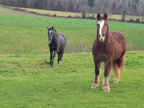 Le Chalange in มง แซงต์ มิเชล