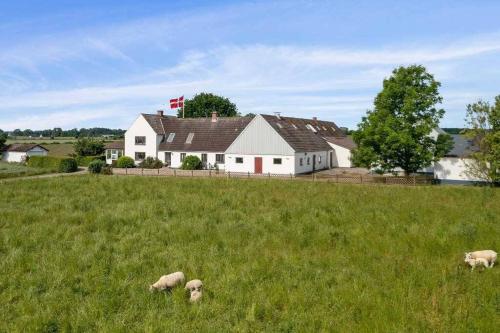 Idyllisk gård med ro, plads og havudsigt