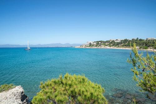 Ohtels Playa de Oro - image 11