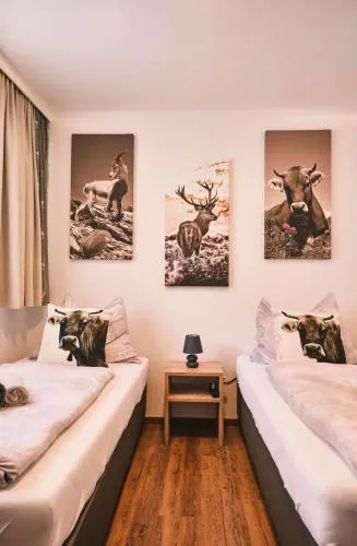 Pension Rainer in Ellmau, Österreich
