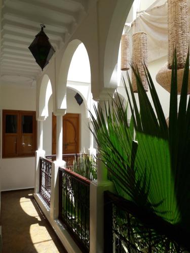 Riad Safina 3