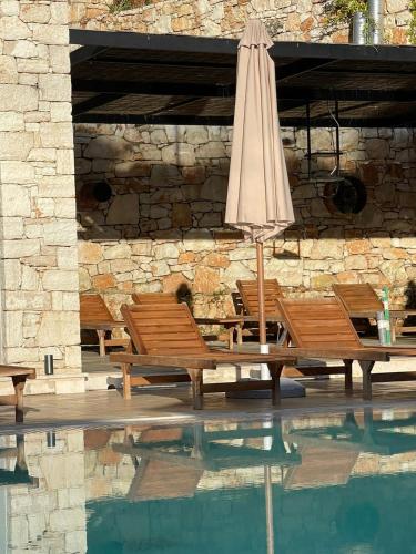 Hotel Platon - image 12