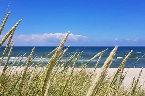 Praia, Apartment Jodłowa Gdansk Stogi (Apartment Jodlowa Gdansk Stogi) in Gorki Zachodnie