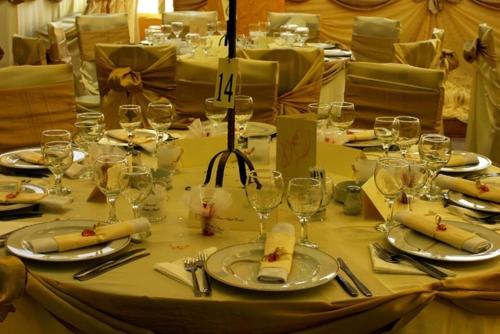 宴會廳, Hotel Decebal in 市中心