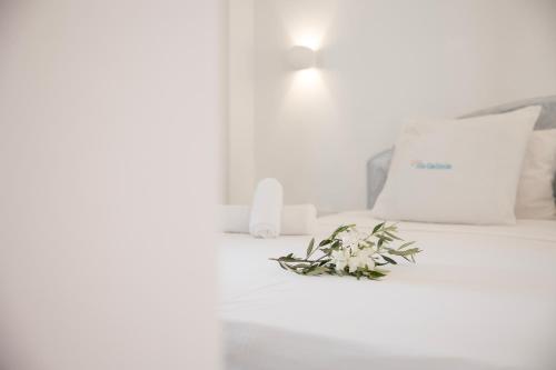 Villa Galinia - image 14