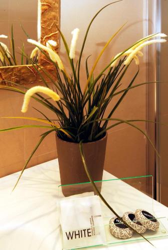 Hotel Argentina - image 4