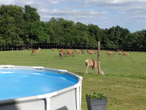 Le Logis de la Ferme aux Cerfs