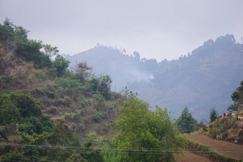 Beautiful natural surroundings