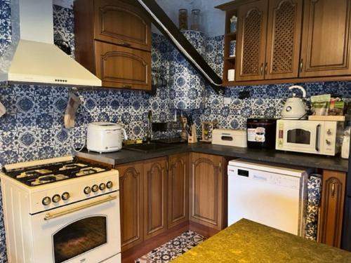 廚房, VILA MILICA & SPA ALEKSANDRA in 積米特洛夫格勒