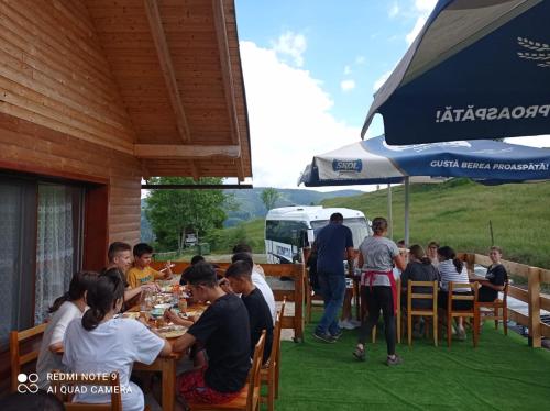 Cabana Ioana in Munună