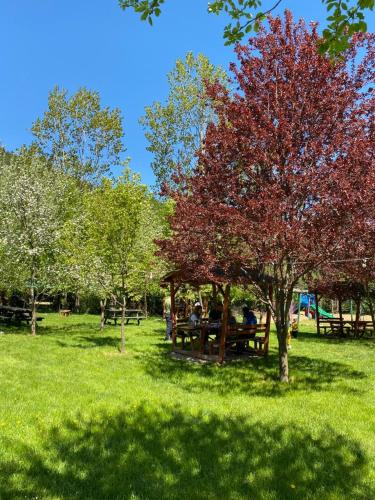 Abant Yesil Vadi Koc Pansiyon photo