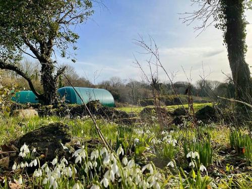 Kinelarty Luxury Glamping Pods Downpatrick