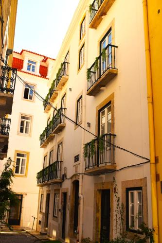 Apartamentos Colmeia 3