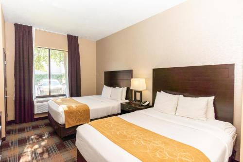 Comfort Suites Houston West At Clay Road - image 44
