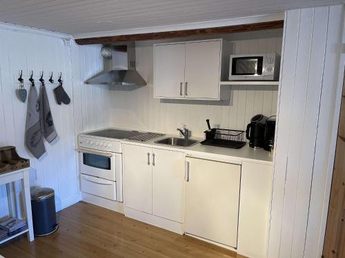 Swedish Adventure in Bograngen