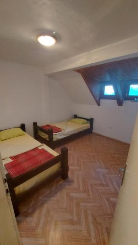 Single Bed in Female Dormitory Room