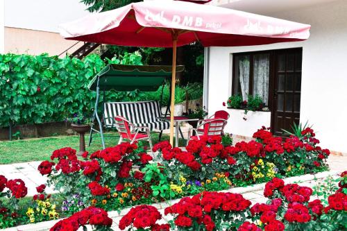 حديقة, Apartmani "Vila Jelena" Arandjelovac in Arandjelovac