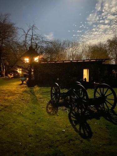 MeinNest31 MeinNest31