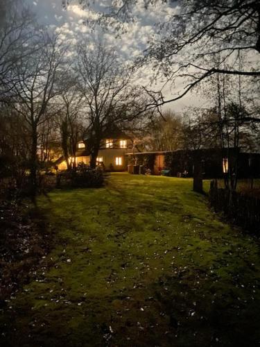 MeinNest31 MeinNest31