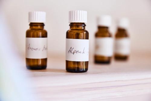 MeinNest31 MeinNest31