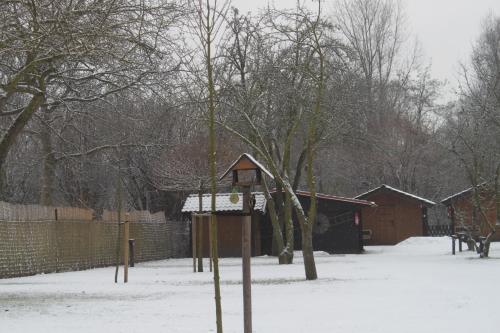 Pension Trojská - image 6